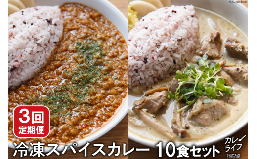 
【3回定期便】冷凍スパイスカレー10食セット＜カレーライフ＞【長崎県雲仙市】
