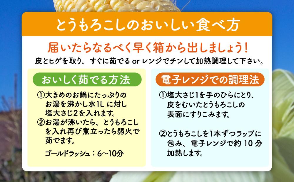 【先行予約】黄金色で大粒 ゴールドラッシュ 12本 4.8kg (2024年8月下旬〜発送開始予定)