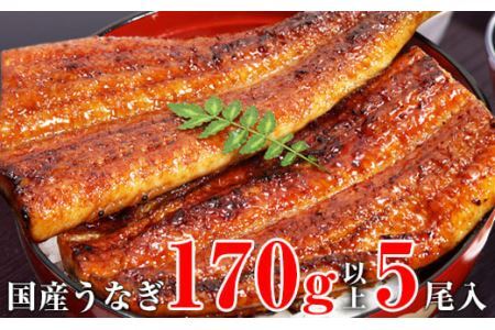 特大サイズ国産うなぎ蒲焼き5本セット（合計850g）(B490-1)