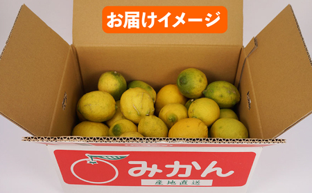 訳あり レモン 5.5㎏ 不揃い 陽だまりミカン わけあり 檸檬 れもん レモン果汁 酸味 高級 果物 くだもの 愛媛県産 訳アリ 訳あり品 訳有り ビタミン 健康 フルーツ 柑橘 みかん 蜜柑 産地