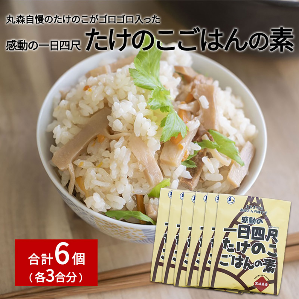 たけのこごはんの素3合×6個セット【66002BA0101】