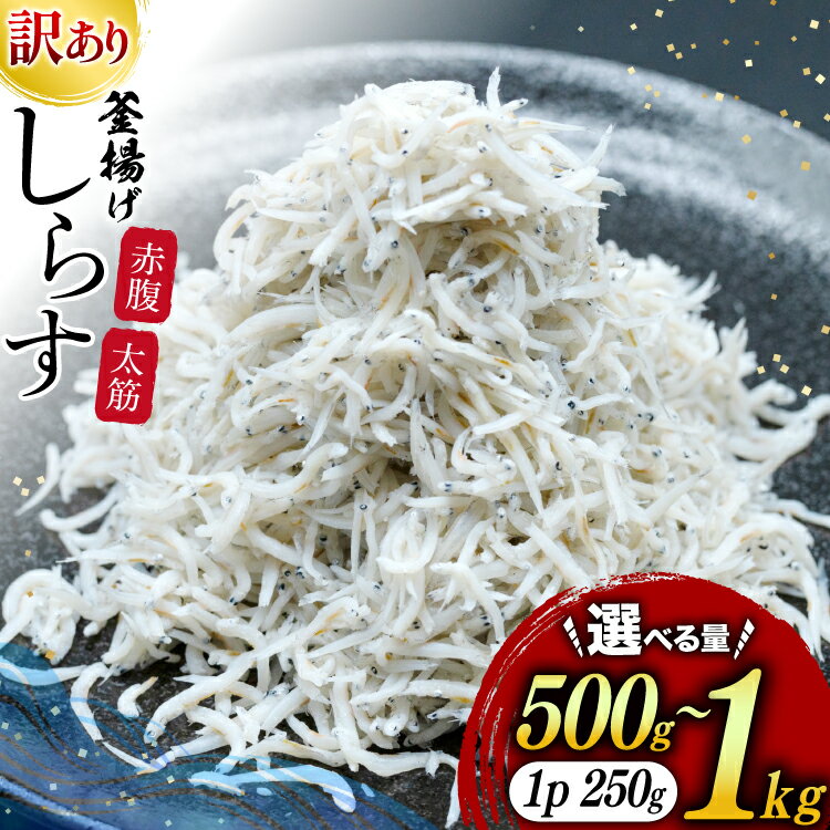 【ふるさと納税】 しらす 訳あり お船出 釜揚げしらす 選べる容量 250g 2p 計 500g or 250g 4p 計 1kg [お船出ちりめん村上屋 宮崎県 日向市 452061635] 小分け シラス 釜揚げ 冷凍 じゃこ ジャコ 訳アリ 赤腹 太筋