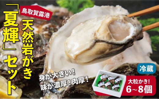 
                  鳥取賀露港 天然岩がき「夏輝」セット【かねまさ・浜下商店】
                