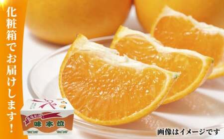 みかん 約10kg【かきやま果実】[ZCJ005]