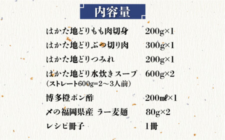 【福岡限定】はかた地どり 水炊き 3~4人前 [BGAB008] 水炊き