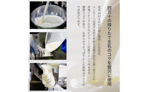 搾りたて生乳仕込みの濃厚ミルクアイス四万十満喫フレーバー5種10個セット　Qak-35
