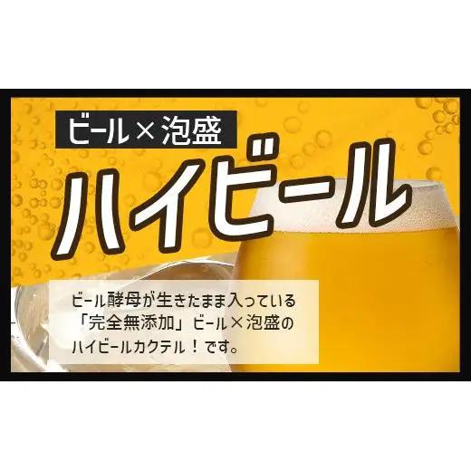 V-26 石垣島ハイビール 24本セット