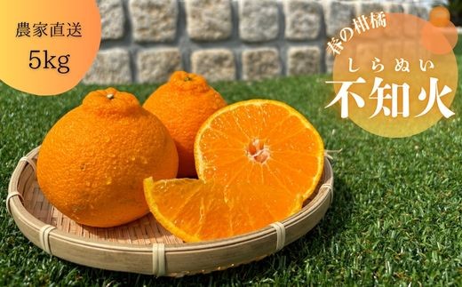 
            不知火（しらぬい）(A68-1)
          