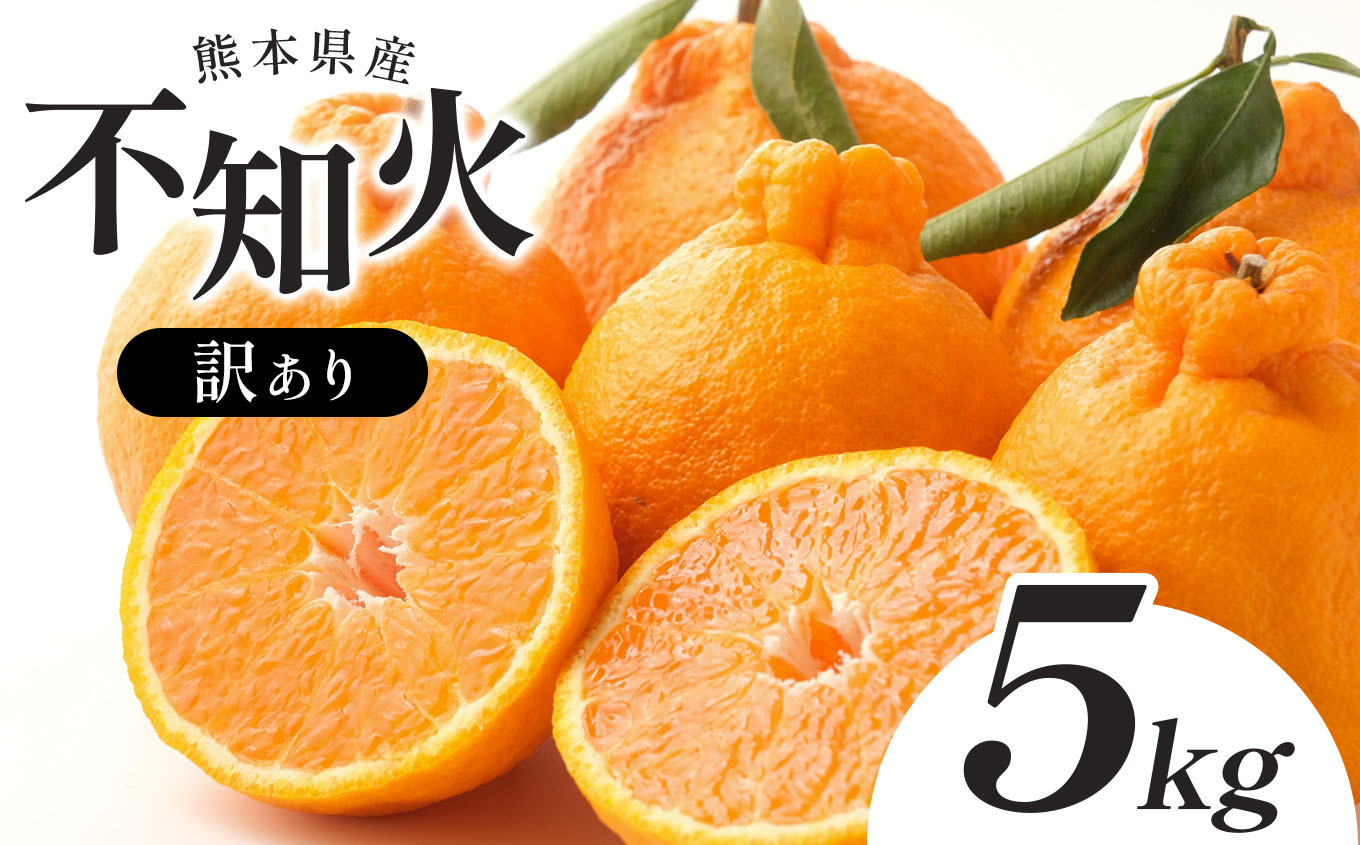 
【 訳あり 】 熊本県産 不知火 5kg （ デコポン と同品種 ) | 果物 くだもの フルーツ 柑橘 柑橘類みかん 訳あり でこみかん 熊本県産 生産量全国一位! くだもの みかん 訳あり 生産量全国一位! ミカン 蜜柑 デコポン 熊本県 苓北町 キズあり サイズ混合
