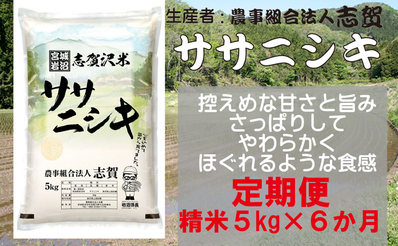 【10月受付再開予定/令和7年産新米】【6ヶ月定期便】宮城県岩沼市産 志賀沢米 ササニシキ 精米5kg 