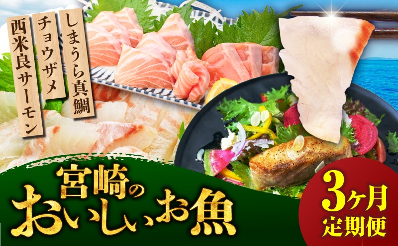 
                  宮崎のおいしいお魚 3ヶ月定期便_M342-T007-3-1
                