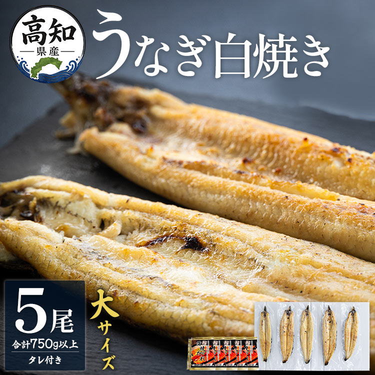 【ふるさと納税】高知県産うなぎの白焼き 大サイズ 5尾(合計750g以上) タレ付き - お中元 送料無料 鰻 ウナギ 晩ご飯 夕飯 おかず 魚 肴 蒲焼きのたれ 土用の丑の日 父の日 個包装 真空パック unagi 国産 贈答用 贈り物 吉川水産 高知県 香南市【冷凍】