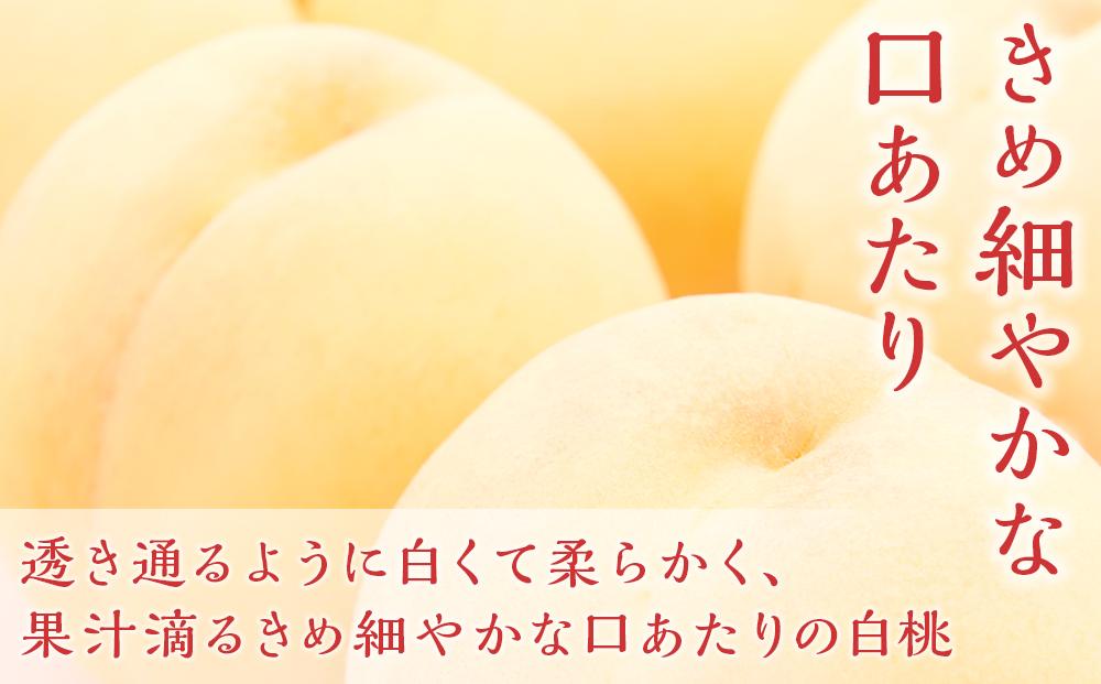桃 ぶどう 2024年 先行予約 岡山の 果物 詰合せ 岡山 白桃 2玉 ニュー ピオーネ 2房 化粧箱入り岡山県産 国産 フルーツ 果物 ギフト 