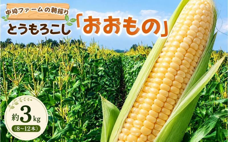 
                  中埣ファームの朝採りとうもろこし「おおもの」約3kg(8～12本)   / トウモロコシ とうもろこし 農家直送 【nkzf001】
                