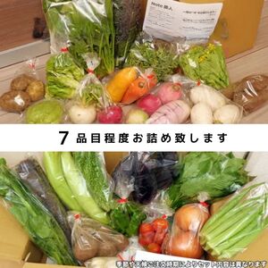 ＜6ヵ月定期便＞旬の野菜詰め合わせ 7～8種 | 野菜セット 詰め合わせ 定期便