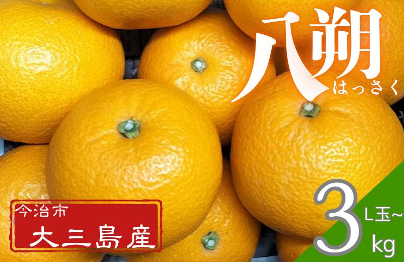 
            八朔L玉～・3kg【K003210L3】
          