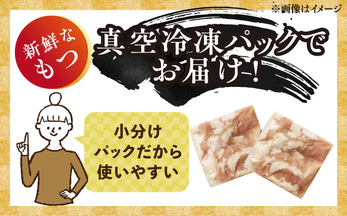 博多味噌もつ鍋 3～4人前セット 吉富町/株式会社MEAT PLUS [BGAB004]