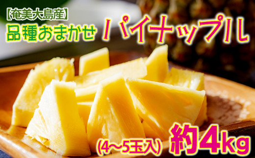 
【奄美大島産】品種おまかせ パイナップル（約4kg・4～5玉入）
