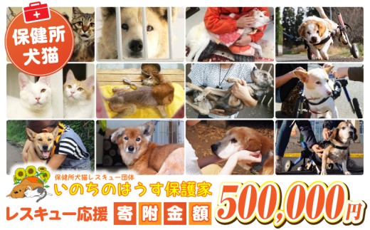 【選べる寄附金額】保健所犬猫レスキュー【返礼品なしのご寄附】