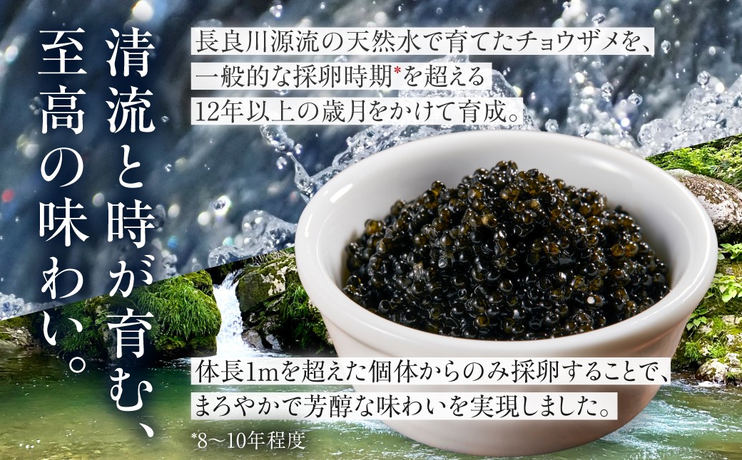 利用例：サーモンカナッペキャビア（画像はイメージです。）