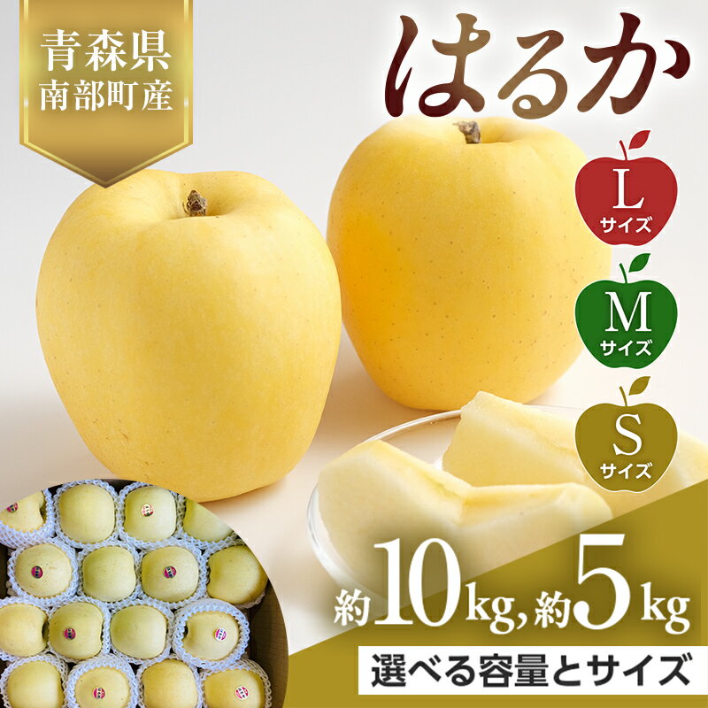 【ふるさと納税】 《選べる容量とサイズ》 青森県産 希少りんご はるか Lサイズ・Mサイズ・Sサイズ／5kg・10kg 【佐々木あきおはるこ農園】 青森りんご リンゴ 林檎 アップル あおもり 青森県 南部町 三戸 果物 くだもの フルーツ F21U-562var