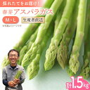 【ふるさと納税】【2025年2月中旬より順次発送】朝どれ 春芽アスパラガス 1.5kg (ML混合)【前平農園】 [BCG010] 新鮮 採れたて アスパラガス グリーンアスパラ 野菜