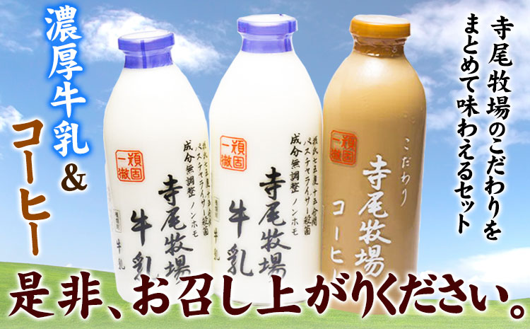 寺尾牧場のこだわり濃厚牛乳（ノンホモ牛乳）とコーヒー3本セット厳選館《90日以内に出荷予定(土日祝除く)》---wsh_cgennhco_90d_22_16000_3p---