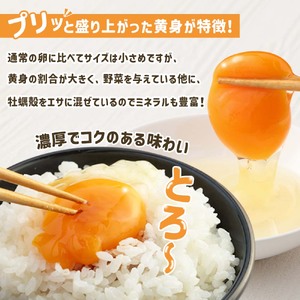 【ふるさと納税】土佐ジローの卵 定期便（25個入り×3回）もみ殻梱包 【J00144】
