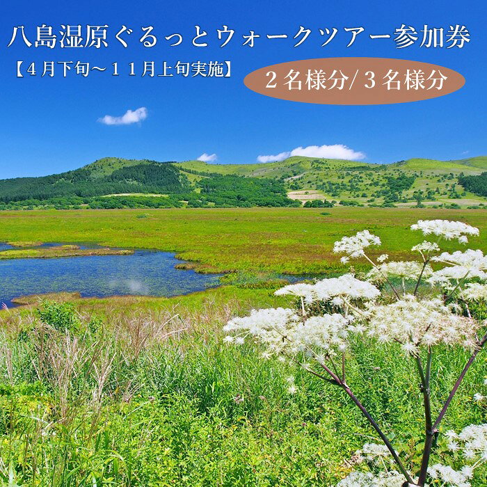 【ふるさと納税】八島湿原ぐるっとウォーク～花と生きものたちとの出会い 癒やしの湿原めぐり～ 参加券 全2種[2名様分/3名様分]/ 八ヶ岳登山企画 ハイキング 体験 アウトドア 子ども こども トレッキング チケット 観光 信州 長野県 諏訪市 諏訪 [88-0506]