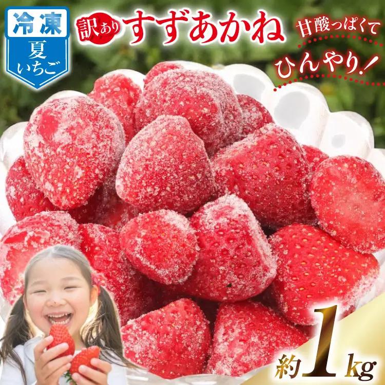 訳あり 冷凍 夏いちご すずあかね 約1kg [水山養殖場 宮城県 気仙沼市 20564004] 果物 イチゴ いちご 苺 簡易包装 フルーツ