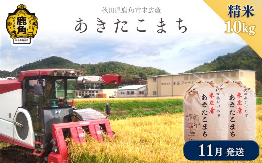 あきたこまち 精米 10kg（5kg×2袋）【末広ファーム】●2026年11月発送開始 令和8年産 あきたこまち 国産 県産 厳選 末広産 精米 白米 米 お米 こめ コメ 秋田県産あきたこまち 国産米 秋田県 あきた 鹿角市 鹿角 農家直送 産地直送 送料無料