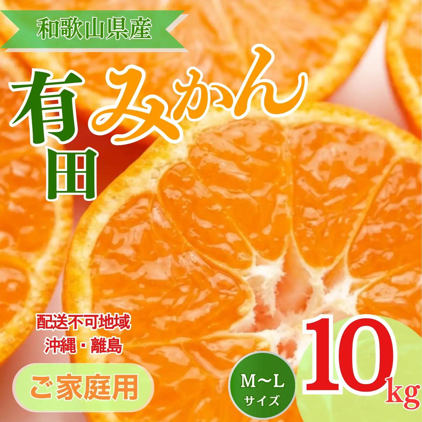 【先行予約】【ご家庭用】和歌山有田みかん約10kg(M、Lサイズ)【美浜町】 ｜ みかん