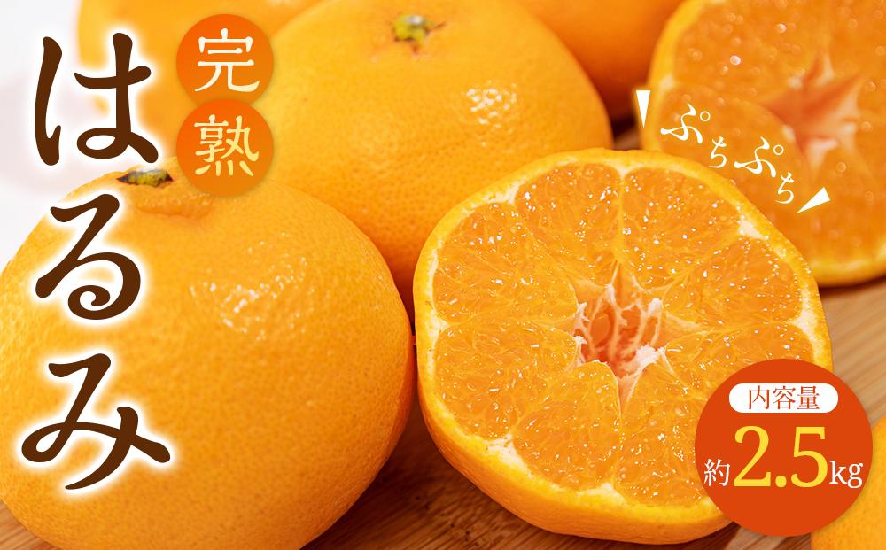 完熟 はるみ 約2.5kg【2027-2月下旬～2027-3月下旬配送】 372013_T006-284J