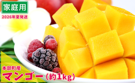 【2026年夏発送】もとぶ町産マンゴー（家庭用）約1kg詰め フルーツ 果物 期間限定 数量限定 先行予約 南国 プレゼント お土産 おみやげ ギフト くだもの 沖縄 おきなわ 青果 デザート おすすめ 人気 冷蔵 夏 スイーツ