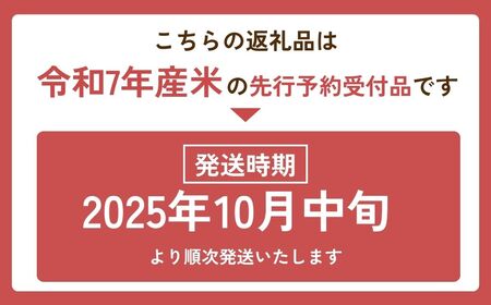令和7年産新米 こだわりのコシヒカリ 10kg | コシヒカリ 精米 茨城県 龍ケ崎市