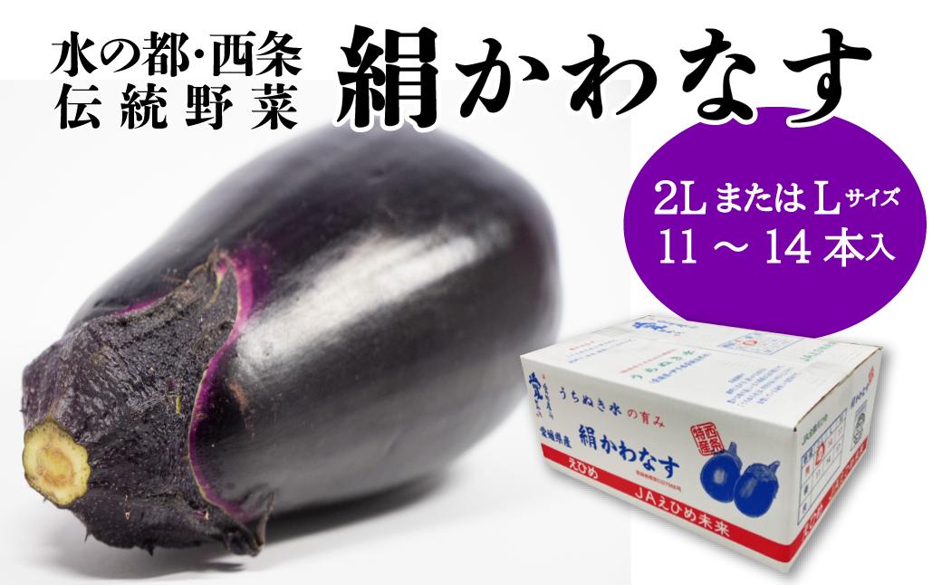 
            【先行予約】 絹かわなす （JAえひめ未来） Ｌサイズまたは2Lサイズ　2025年6月中旬～7月発送
          