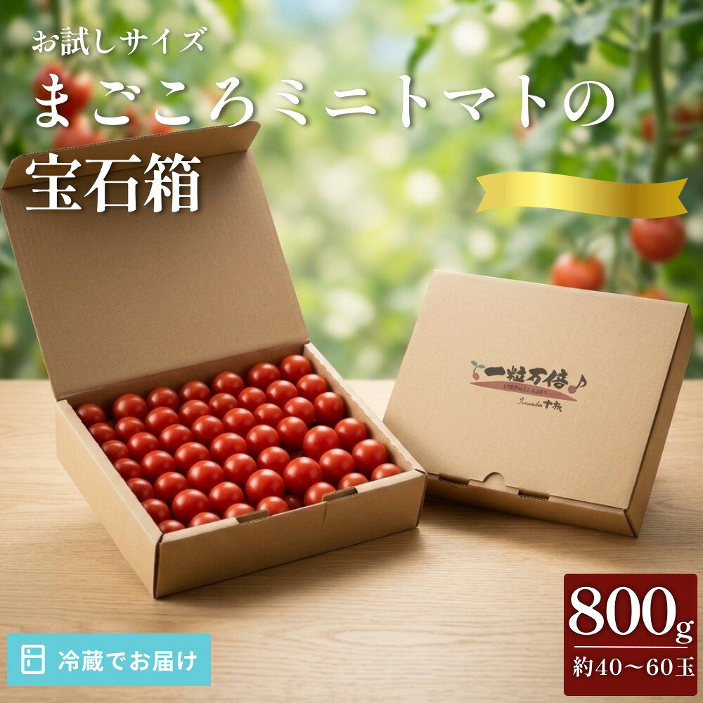 【ふるさと納税】お試しサイズ まごころミニトマトの宝石箱 800g (約40〜60玉) サンチェリーピュア