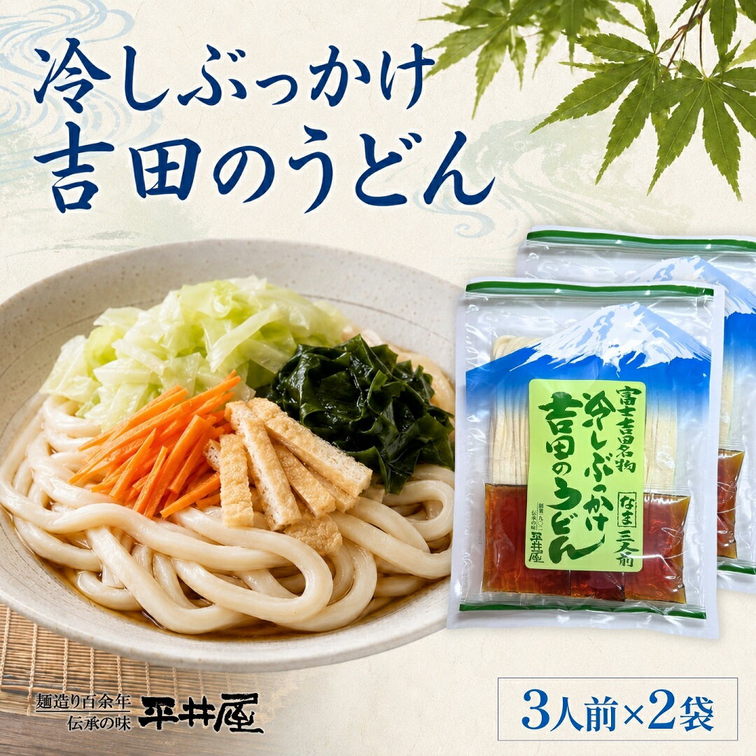 【ふるさと納税】 冷しぶっかけ吉田のうどん 6人前 3人前×2パック つゆ付き 冷やしうどん ご当地うどん 富士山麓の水使用 グルメ 平井屋