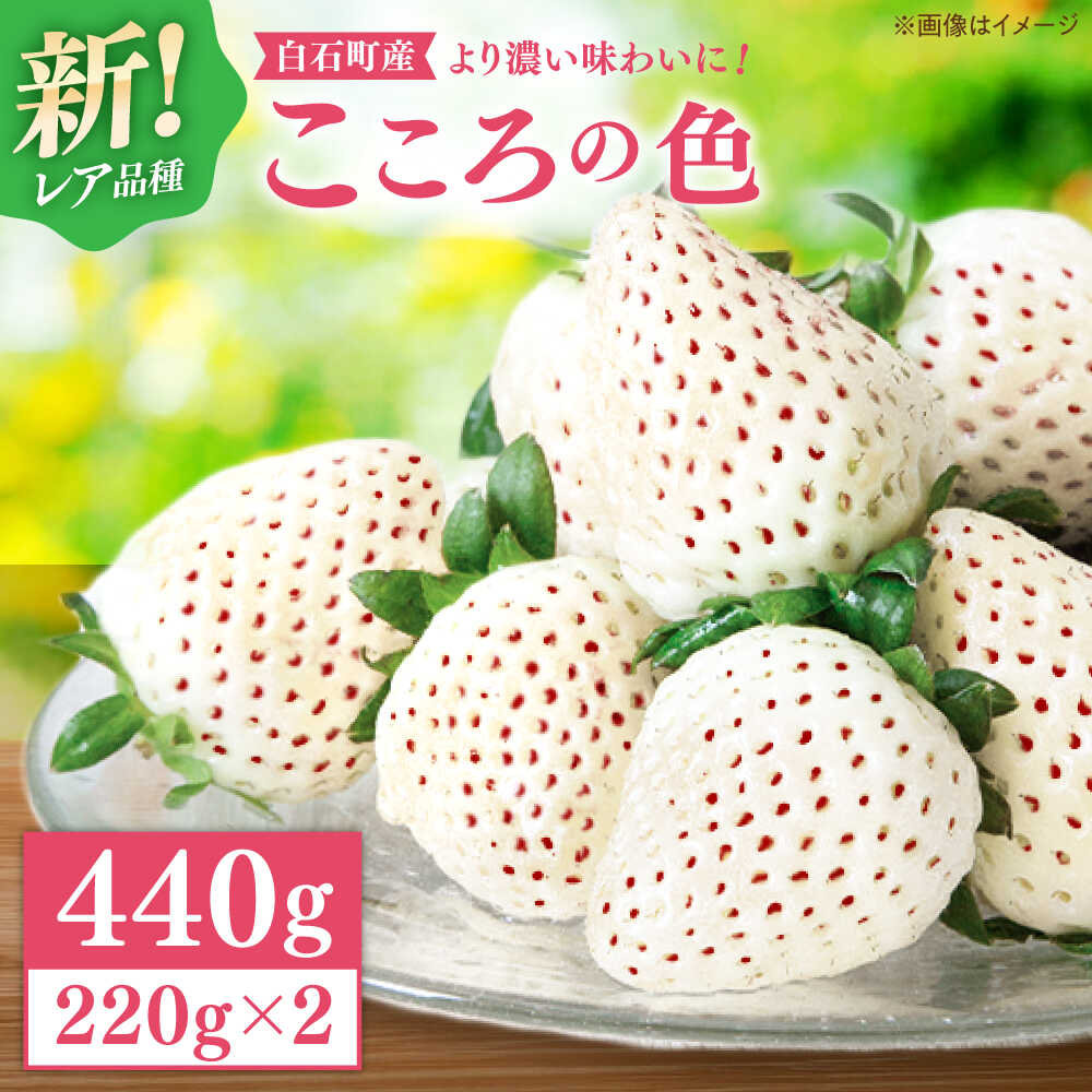 【ふるさと納税】【2026年1月以降発送】【幻の白いちご】 こころの色 220g×2パック【StrawberryFarm-K】 佐賀県 白石 [IBJ010]