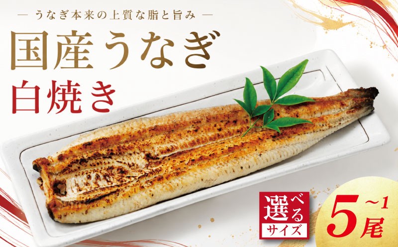 
                  うなぎ 白焼き 国産 選べるサイズ 1尾～5尾 《 冷蔵発送 解凍手間なし！》 鰻 ウナギ 白焼 国産うなぎ 国産鰻 うなぎ白焼き 冷蔵 土用 丑の日 父の日 小分け 徳島 魚市場 【GW・シルバーウィーク・お盆・年末年始 の指定日は不可】
                