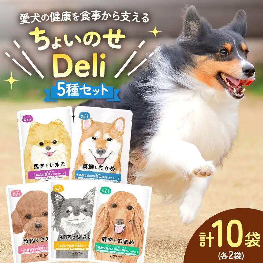 ちょいのせDeli 5種 × 各2袋 セット | ペット 愛犬 犬 ウェットフード 国産 ドッグフード 熊本県 玉名市