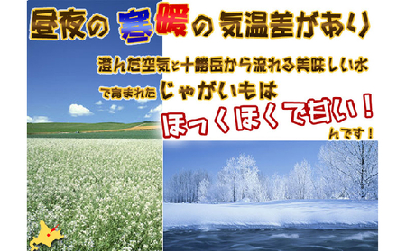 【2026年秋冬発送】北海道 富良野産 じゃがいも(男爵)＆玉ねぎ セット10kg 野菜 いも