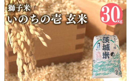 【令和7年産】獅子米 いのちの壱 玄米 30kg