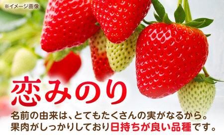 【先行予約】3品種いちごの食べ比べセット（恋みのり/さがほのか/ゆうべに）百花園ファーム 約1.4kg（約350g×4P）20粒/P Lサイズ 【亀井通産 株式会社】[AYBQ086]