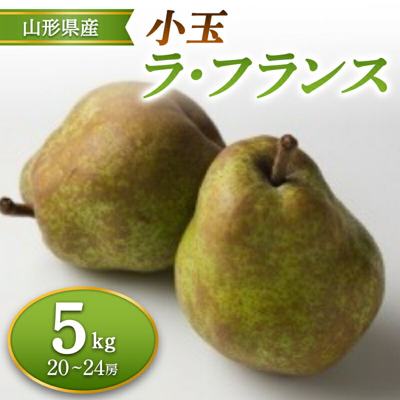 【ふるさと納税】≪2026年先行予約≫ 山形県産 小玉ラ・フランス 5kg なし ナシ 梨 デザート フルーツ 果物 くだもの 果実 食品 山形県 FSY-2694