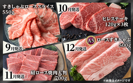 《まるごと定期便》12回 固定月 厳選 お届け 飛騨牛 三昧 肉 肉づくし 白川郷 もも肉 切り落とし サーロイン ステーキ しゃぶしゃぶ すき焼き300000円 30万円 国産 焼肉 カルビ 牛肉 