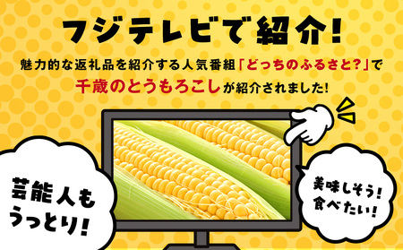 【先行予約】北海道 千歳産 とうもろこし 430ｇ以上 25本 恵味スター 野菜 トウモロコシ 甘い 旬 夏 BBQ ＜ファーム安澤＞