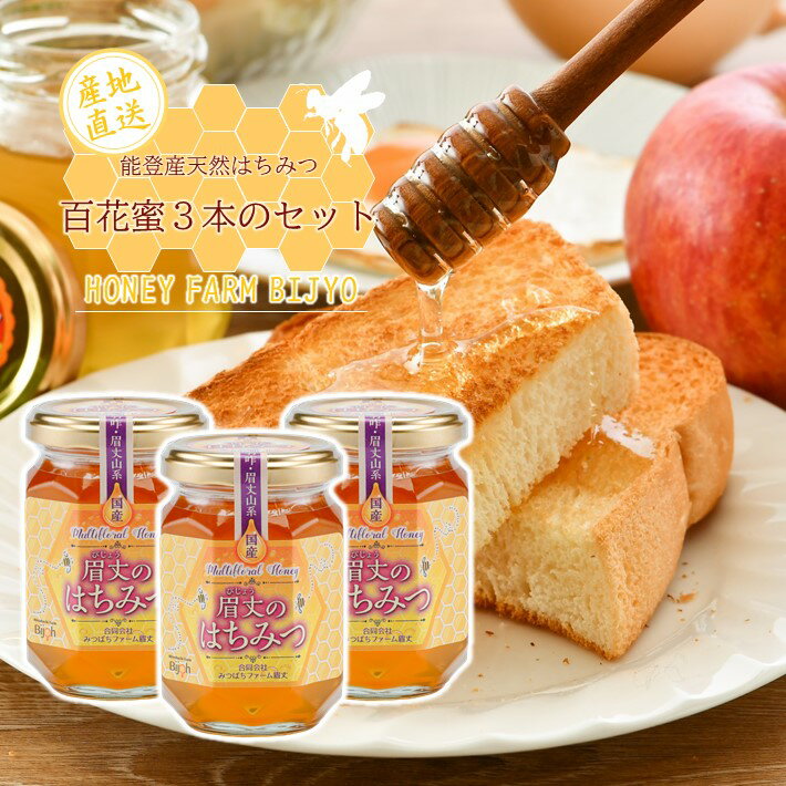 【ふるさと納税】 国産 天然 百花はちみつ 175g 3本 純粋はちみつ 非加熱 熟成 無加糖 無調整 こだわり 百花蜂蜜 はちみつ ハチミツ ハニー 百花蜜 百花 農家 手作業 純粋蜂蜜 純粋ハチミツ 天然蜂蜜 天然はちみつ 天然ハチミツ コク はちみつスプーン 付き 石川 能登 羽咋