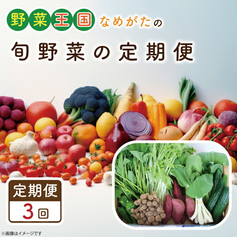 【ふるさと納税】【3ヶ月定期便】野菜王国なめがたの旬野菜の定期便（さつまいも入り）｜CU-132