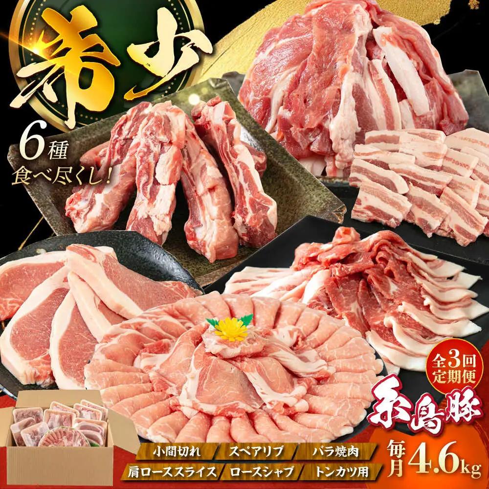 【全3回定期便】合計4.6kg！糸島豚食べ尽くしセット(とんかつ、肩ロース、しゃぶしゃぶ、豚バラ、スペアリブ、小間切れ) 糸島市 / トラヤミートセンター 豚肉 セット[AJD023]
